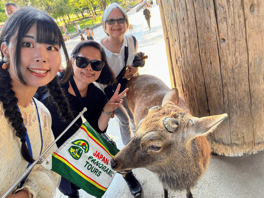 From Kyoto: Nara Guided Morning Tour - Timing, walking, and weather