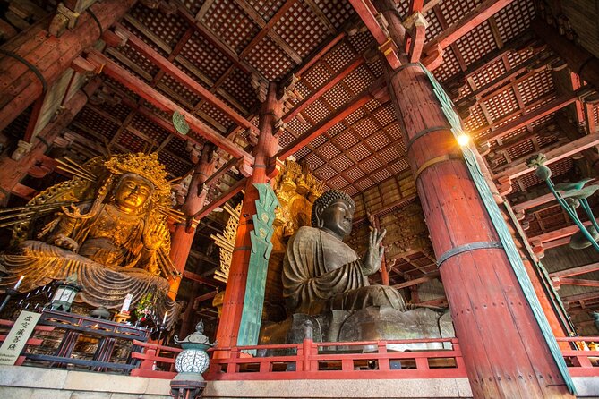 From Kyoto: Nara History Guided Half Day Bus Tour with Lunch - Why Nara makes a strong half-day from Kyoto
