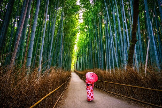 From Kyoto / Osaka: Kyoto Must-see Spots & Nara Park One Day Tour - Fushimi Inari: 1 hour and 10 minutes under the torii gates