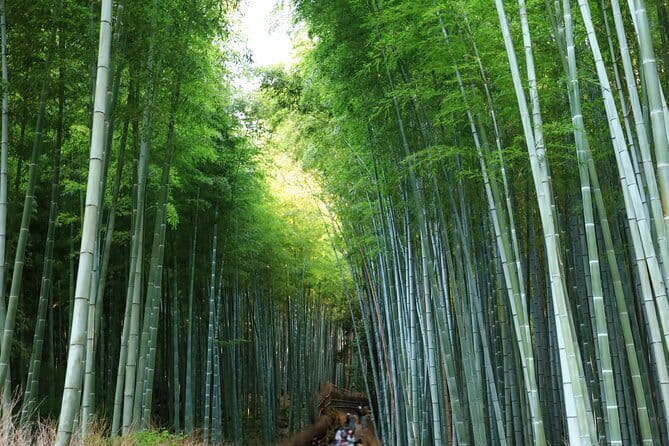 From Kyoto / Osaka: Kyoto Must-see Spots & Nara Park One Day Tour - Nara Park: one hour with deer and old temples
