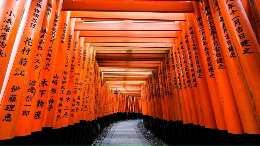 From Osaka/Kyoto: Private Kyoto and Nara Day Trip - Two ancient capitals in one long day
