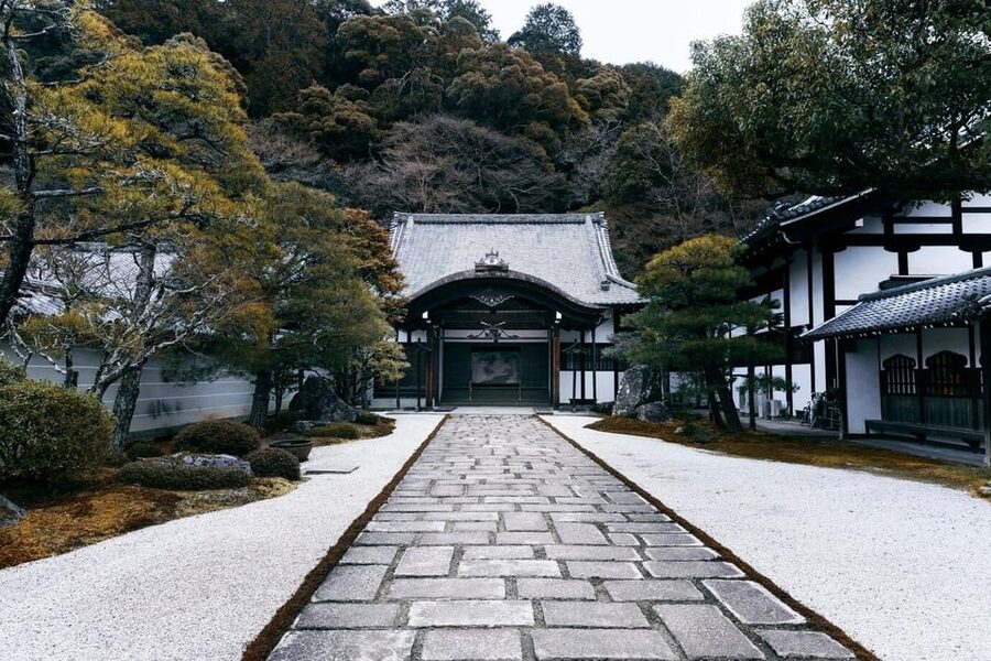 From Osaka/Kyoto: Private Kyoto and Nara Day Trip - Arashiyama’s bamboo paths in a short visit