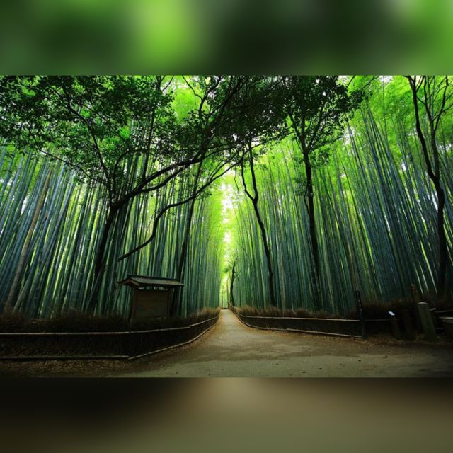 From Osaka/Kyoto: Private Kyoto & Nara Day Trip with Pickup - Key points at a glance
