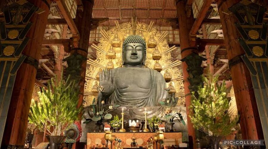 From Osaka/Kyoto: Private Kyoto & Nara Day Trip with Pickup - Pace, walking, and practical comfort
