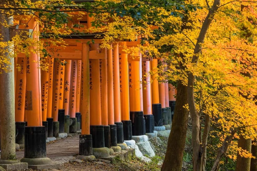 From Osaka: Sagano Train Ride and Kyoto Guided Day Tour - Key points at a glance