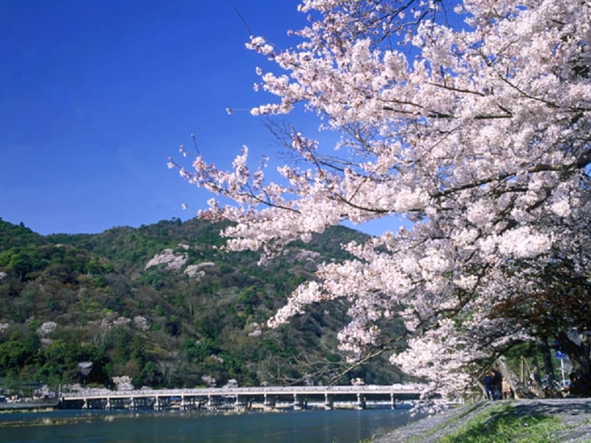 From Osaka: Sagano Train Ride and Kyoto Guided Day Tour - Why this Osaka to Kyoto day trip works