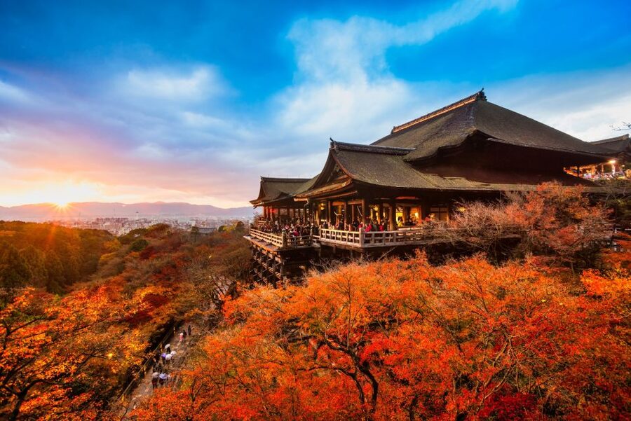 From Osaka: Sagano Train Ride and Kyoto Guided Day Tour - Fushimi Inari and the vermilion gates