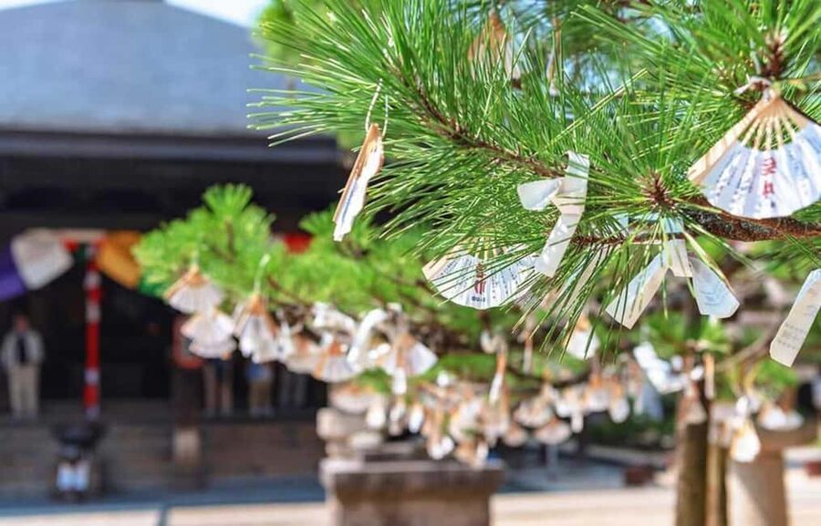 FromOsaka/Kyoto:Hiroshima & Miyajima Private Tour with Lunch - What the private format changes