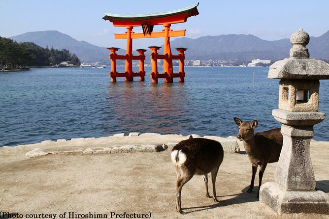 Full Day Hiroshima and Miyajima Tour by Bullet Train from Kyoto - Starting at Kyoto Station before 7:30am