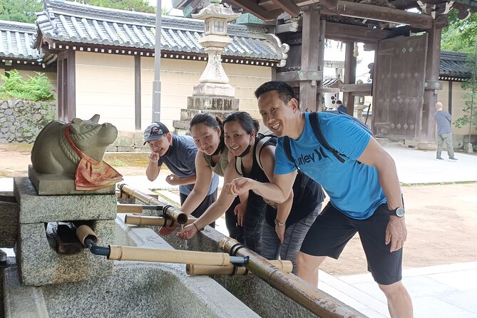 Full-Day Sightseeing to Kyoto Highlights - Price, transport, and what you really pay