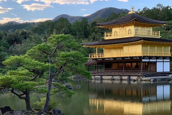 Guided Kyoto City Cherry Blossom One Day Private Tour - Why this private Kyoto day works