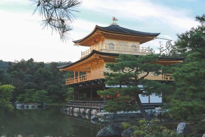 Guided Kyoto City Cherry Blossom One Day Private Tour - Arashiyama bamboo grove: Kyoto’s most familiar view