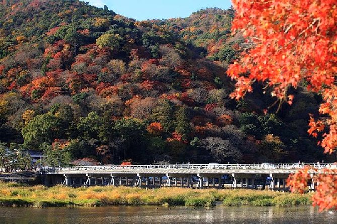 Half Day Kyoto Sagano Bamboo Grove & Arashiyama Walking Tour - Why this Arashiyama morning works