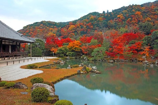 Half Day Kyoto Sagano Bamboo Grove & Arashiyama Walking Tour - Getting to Sagano by local train