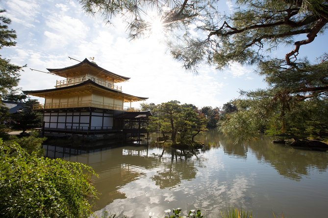 Hidden Kyoto E-Biking tour - Koto-in and Zuihoin, where the ride gets quieter