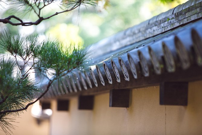 Hidden Kyoto E-Biking tour - Kinkakuji, Kyoto’s famous golden introduction