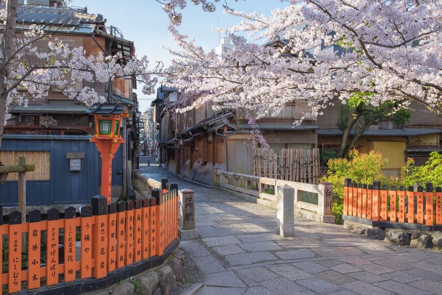 Higashiyama | Kyoto: Sakura Season Private Rickshaw Tour - Key points to know before booking