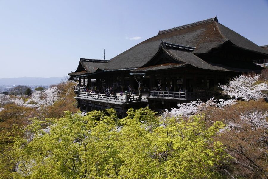 Higashiyama | Kyoto: Sakura Season Private Rickshaw Tour - Comfort, access, and who should skip it