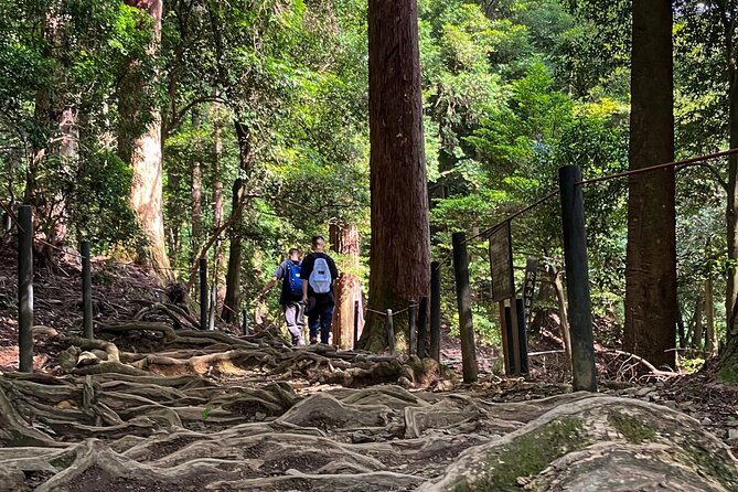 Hike and explore the Kurama and Kibune ancient Paths - Leaving Kyoto behind by train