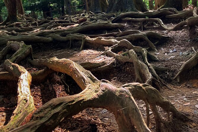 Hike and explore the Kurama and Kibune ancient Paths - Timing, meeting point, and practical details