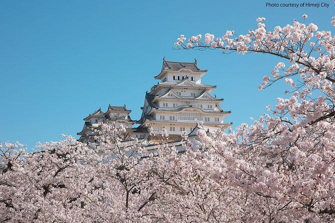 Himeji Castle and Akashi Kaikyo Bridge Walking Tour from Kyoto - The return to Kyoto takes patience