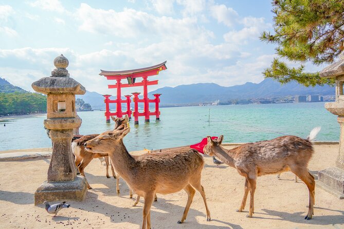 Hiroshima and Miyajima Full-Day Tour from Kyoto by Bullet Train - Crossing to Miyajima by ferry
