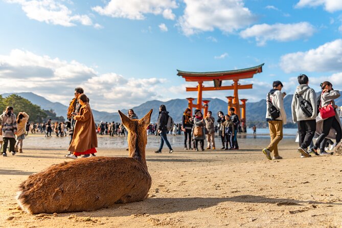 Hiroshima and Miyajima Full-Day Tour from Kyoto by Bullet Train - Kyoto Station and the Shinkansen ride
