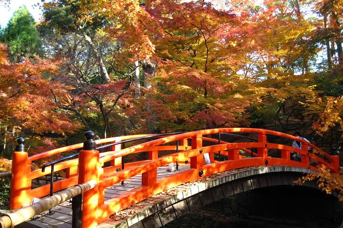 Historical Kyoto E-Bike Tour - Riding west through Kyoto’s back streets
