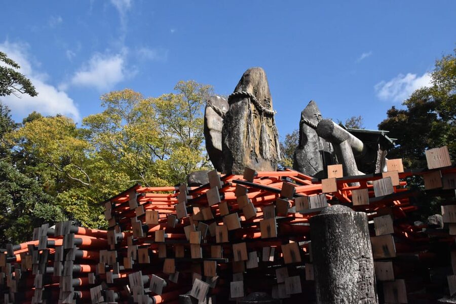 Inside of Fushimi Inari - exploring and lunch with locals - Who should book this experience