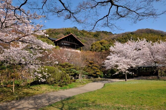 Kyoto 1 Day Suntory Yamazaki Distillery Tour and Asahi Art Museum - How the guide changes the experience