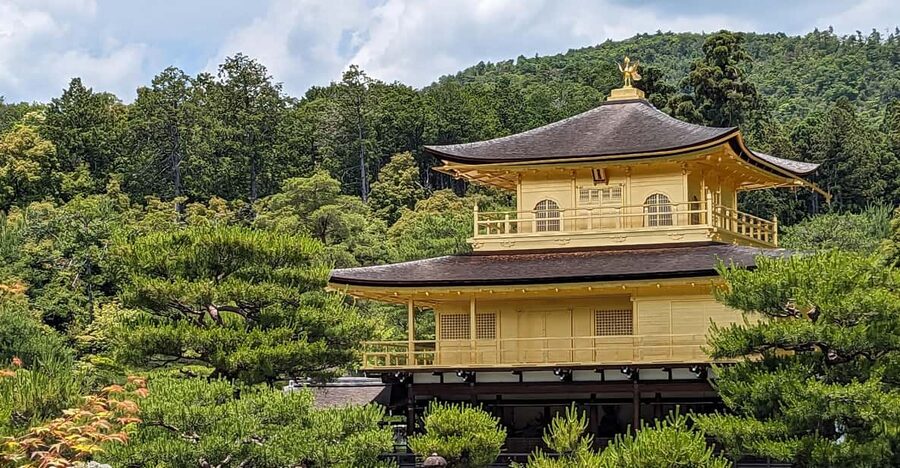 Kyoto: 100% Private Custom Walking Tour (4/8 Hrs) - A Kyoto day shaped around you