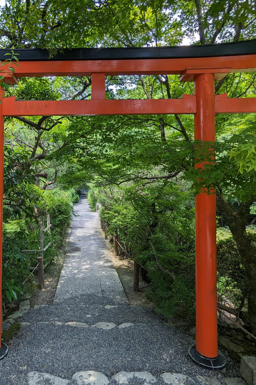 Kyoto: 100% Private Custom Walking Tour (4/8 Hrs) - Arashiyama and its bamboo forest