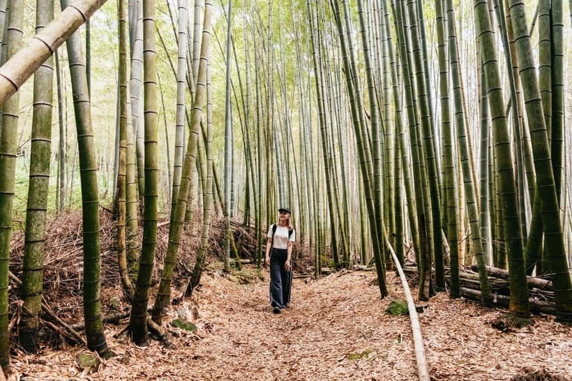 Kyoto: 3-Hour Fushimi Inari Shrine Hidden Hiking Tour - Reaching the torii gates from the back