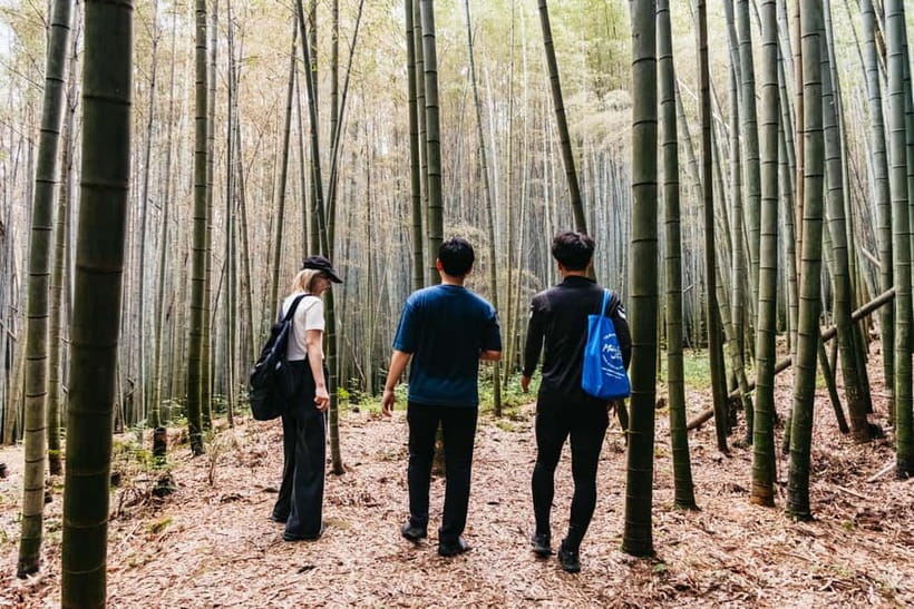 Kyoto: 3-Hour Fushimi Inari Shrine Hidden Hiking Tour - How hard is the 7-kilometer hike?