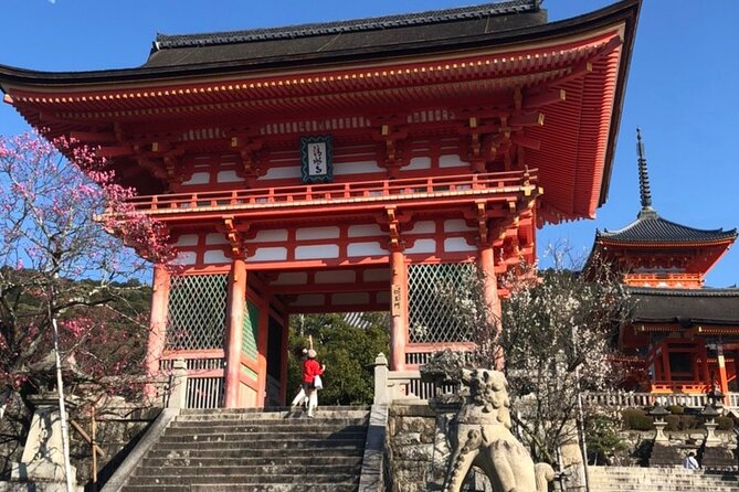 Kyoto 6h Private Tour Fushimi Inari, Kiyomizu, Gion & Hidden Gems - Chishaku-in offers a quieter temple pause