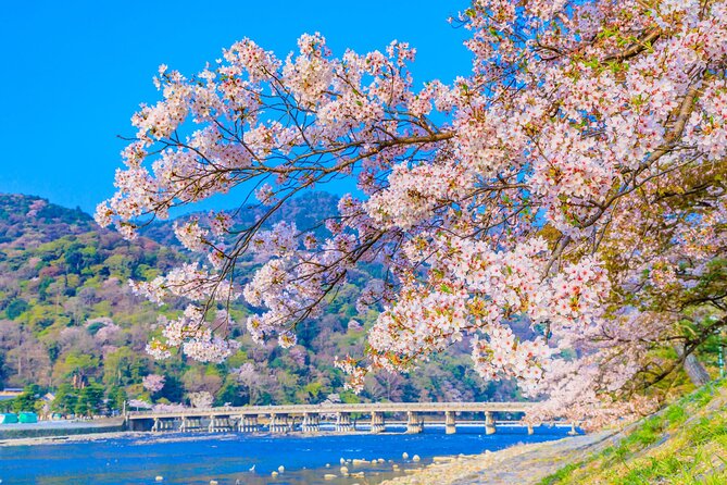 Kyoto 6hr Instagram Highlights Private Tour with Licensed Guide - Kenninji Temple and quiet garden time
