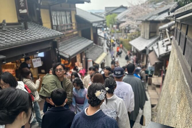 Kyoto Adventures Private English Tour With Hotel Pick Up - Arashiyama and the bamboo forest