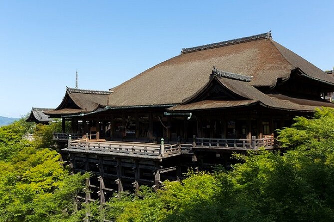 Kyoto Afternoon Tour from Kyoto or Osaka - Practical details that affect your decision