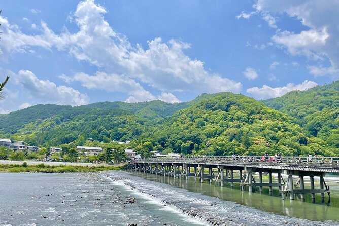 Kyoto and Nara Day Tour from Kyoto - Who should book this day tour?