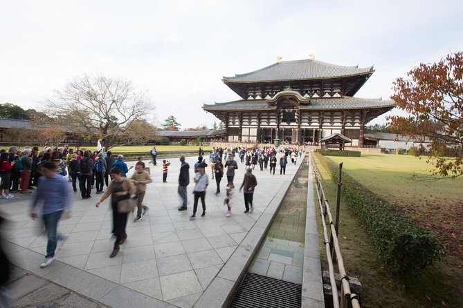 Kyoto and Nara Day Trip from Kyoto - Todai-ji and the Great Buddha