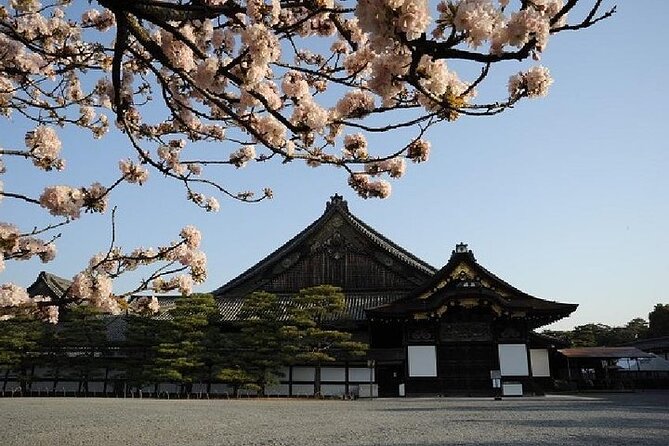 Kyoto and Nara Day Trip from Kyoto - Nara Park and the deer