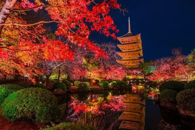 Kyoto and Nara Private Car Tour with a Local English Guide Driver - A route built around your priorities