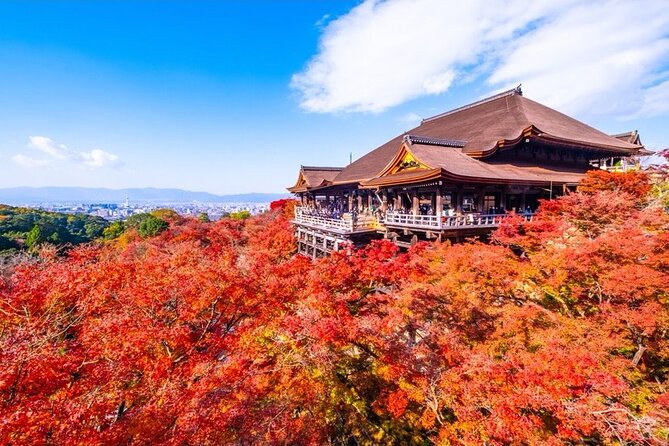 Kyoto and Nara Private Car Tour with a Local English Guide Driver - Fushimi Inari and the red torii gates