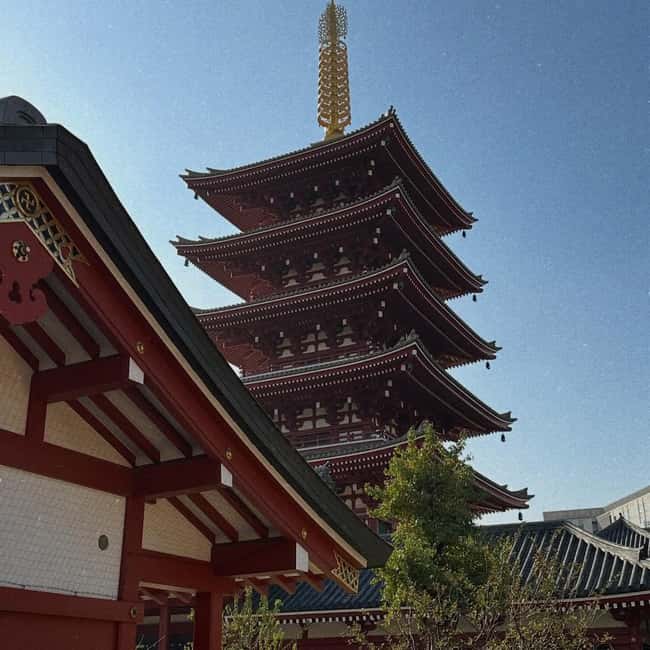Kyoto and Nara: Private Customized Tour with Guide & vehicle - A full day across Kyoto and Nara