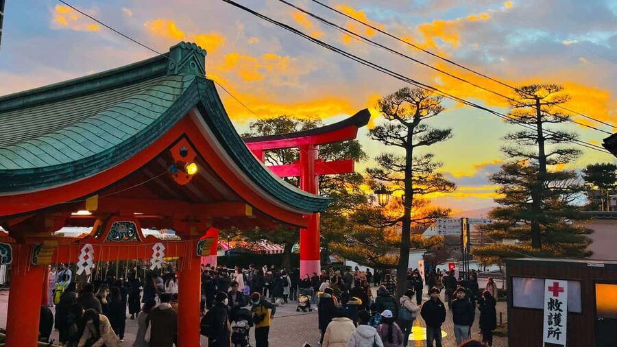 Kyoto and Nara: Private Customized Tour with Guide & vehicle - What the private vehicle really adds