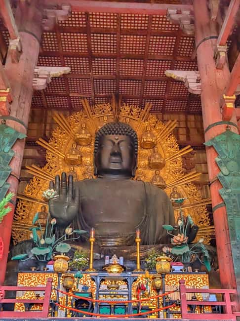 Kyoto and Nara: Private Customized Tour with Guide & vehicle - Nara Park and the sacred deer