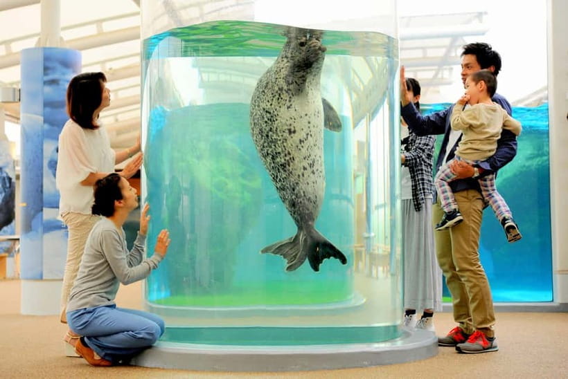Kyoto Aquarium Admission Ticket - Start with the animals that define the aquarium
