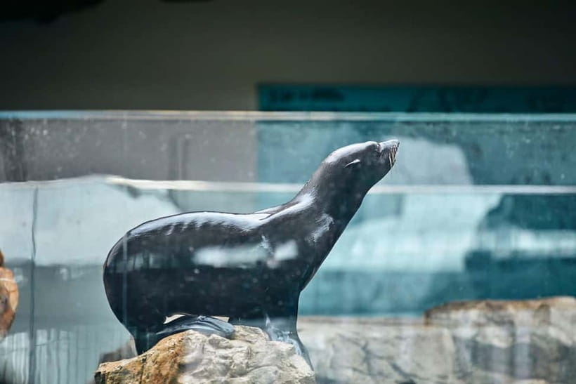 Kyoto Aquarium Admission Ticket - Talk with the breeding staff
