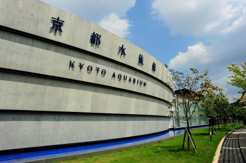 Kyoto Aquarium Admission Ticket - How to plan your one-day visit