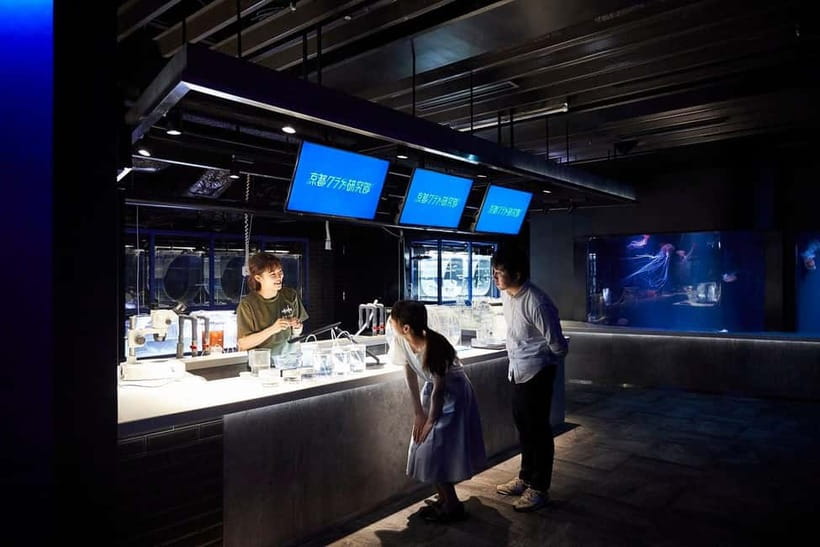 Kyoto Aquarium Admission Ticket - Is $16 good value?